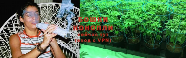 молекула духа Инта